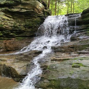 Meet your Posher, Posh